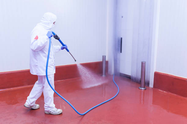 Best Playground Equipment Cleaning  in East Sonora, CA